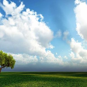 不再见（cover_陈学冬