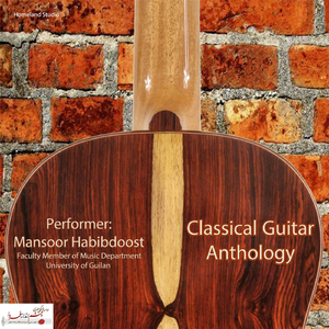 Guitar Sonata in C Major, Op. 15: I. Allegro spiritoso