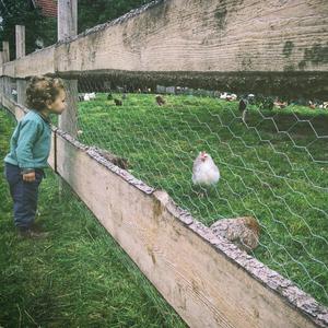 Old McDonald Had a Farm (feat. Baby Nursery Rhymes) (Lullaby)