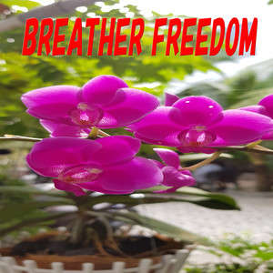 Breather Freedom