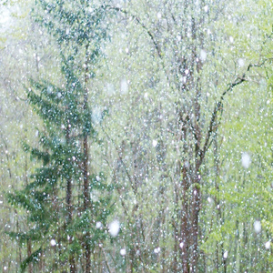 감사의 인사 (감동)