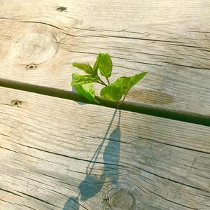 Ai giữ Đạo, thiên hạ tìm đến