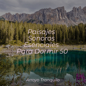 Momentos Tranquilos En Sakura