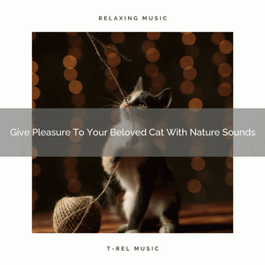Total Waves Tunes For Our Cats