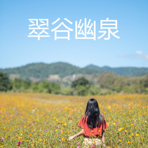 寻梦花海