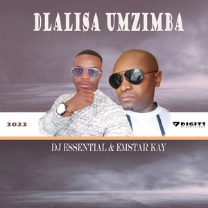 Dlalisa Umzimba