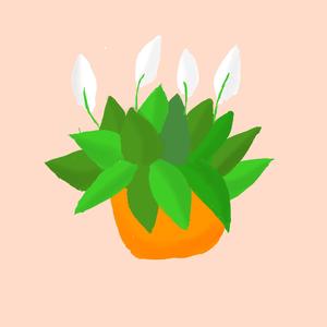 午后的清风 伴奏