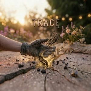 P²MP - Tracę