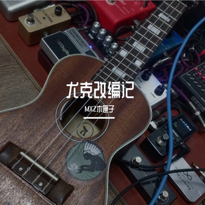 小毛驴 尤克改编独奏版