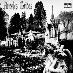 Angeles Caidos