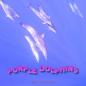 Purple Dolphins