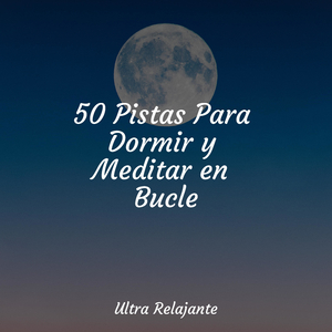 Crepúsculo Desde La Ventana