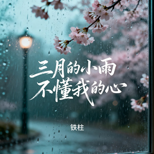三月的小雨不懂我的心