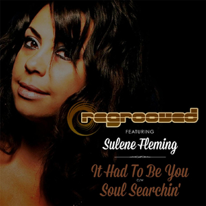 Soul Searchin' (feat. Sulene Fleming)