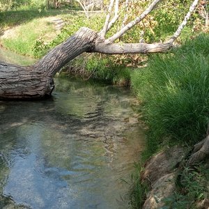 Río Místico