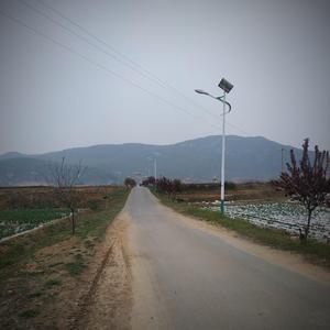 一起放羊的时光