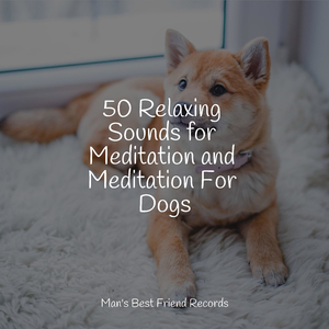 Music for Stress Relief