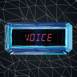 Voice