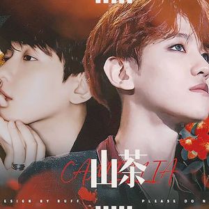 橙光游戏《山茶》边白贤主题曲《Secret》