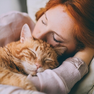 Ronroneos De Terciopelo En Habitaciones Tranquilas