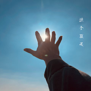 这个夏天