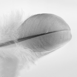 灰姑娘（洛天依、乐正绫）