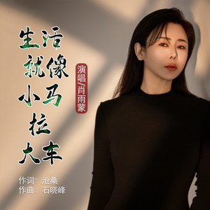 生活就像小马拉大车