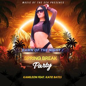 Spring Break Party (Single Mix Instrumental)