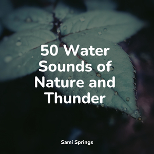 Field, Calm Wind, Birds