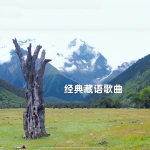 宝贝之地+相聚察隅（男女双声道）