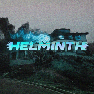 Helminth