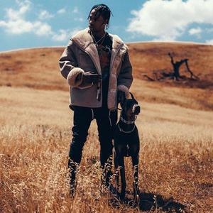 【Free】Travis Scott type beat"Cactus"