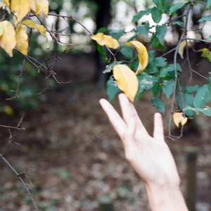 Photo Poems and Intentional Indigence