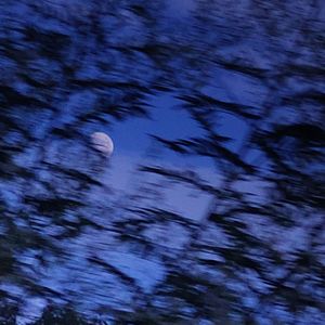 ｗｏｕｌｄ ｉｔ ｈａｖｅ ｂｅｅｎ ｄｉｆｆｅｒｅｎｔ?