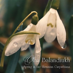 Spring in the Ukrainian Carpathians, Vol. 1