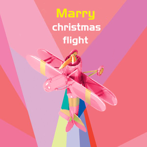 圣诞飞行