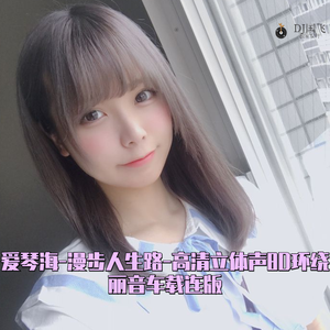 DJ国飞-爱琴海-漫步人生路-高清立体声8D环绕丽音车载连版（DJ国飞 remix）