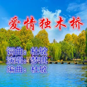 爱情独木桥（梦琪）