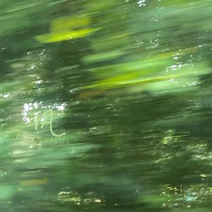 风(一切都像风)