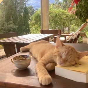 【Free】"清晨" Emotional Type Beat