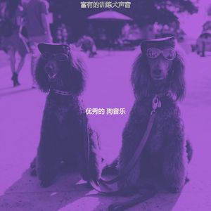 柔和的孤独的狗时刻