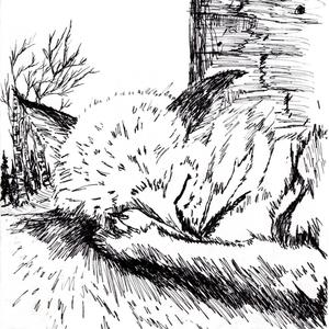 Dance Away From Blame