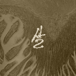 궁극적인 지속의 한가운데서 자유는 시작된다