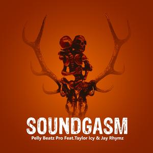 Soundgasm (feat. Taylor Icy) [with Jay Rhymez]