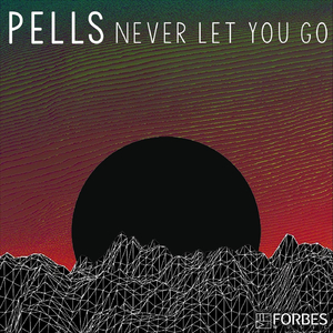 Peels - Never Let You Go (Extended)