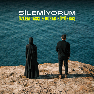 Silemiyorum