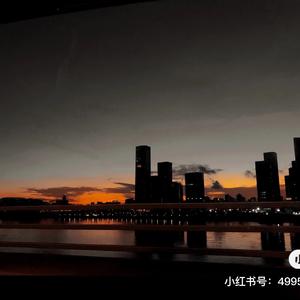 带我去找夜生活