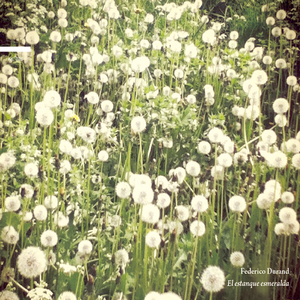 El Pequeño Puente de Madera