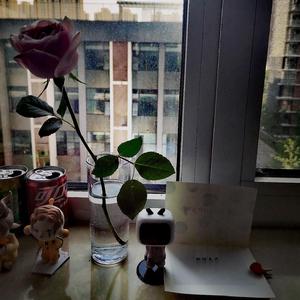 舶来品.Prod EVO MUSIC