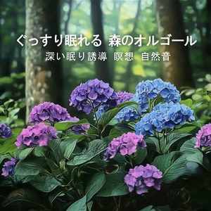 寝る前3分BGM セロトニン増加で睡眠の質を上げる α波 疲労回復・ストレス解消 (3分で眠れる森)